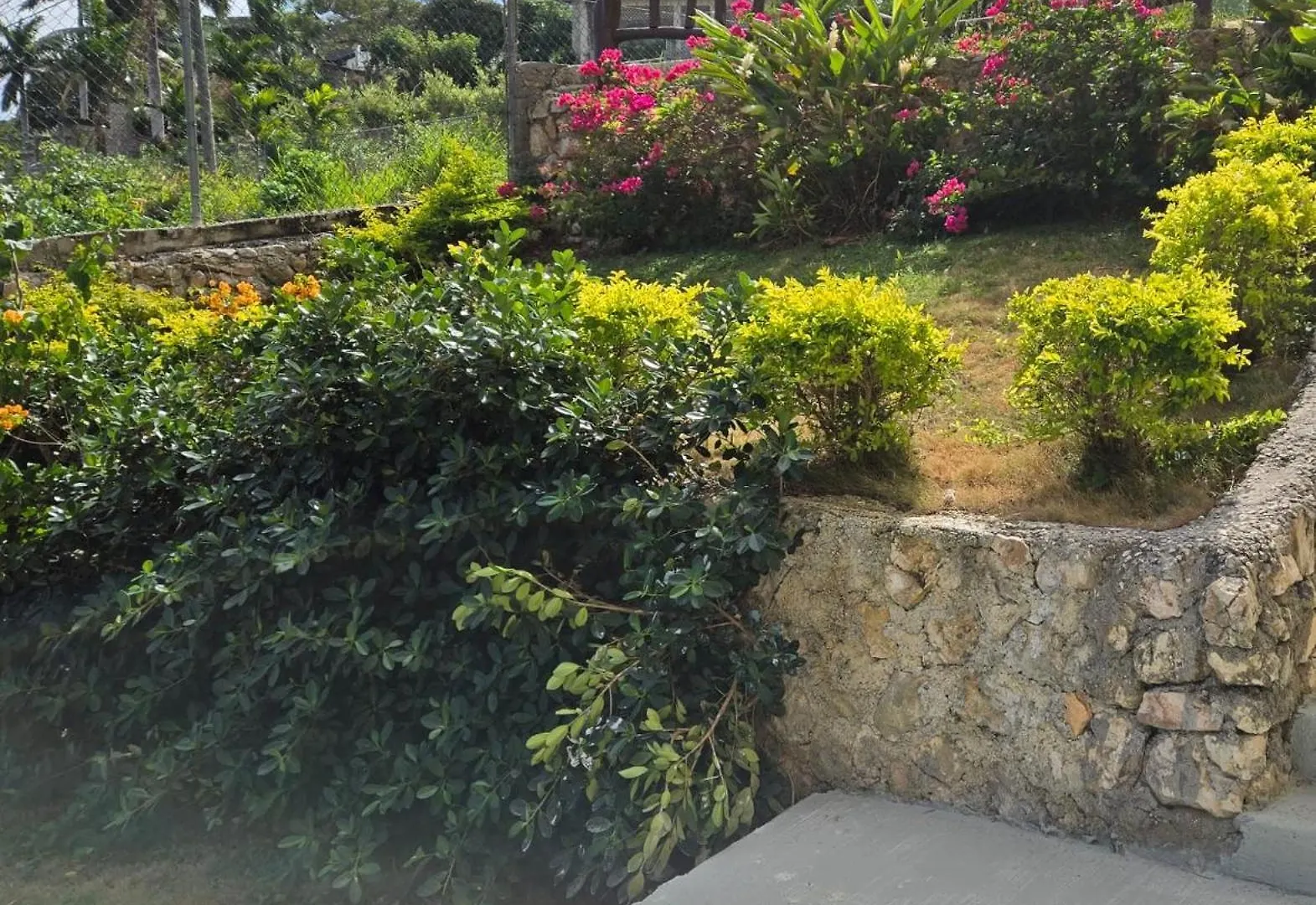 Poinciana House Villa Montego Bay Semesterbostad